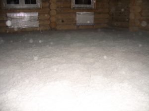 Пола CIMG0053 300x225